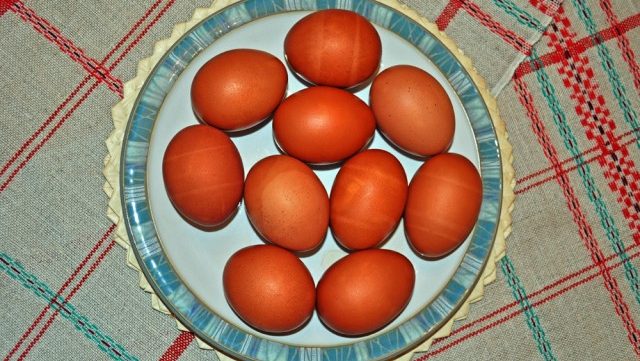 Coloring Easter Eggs